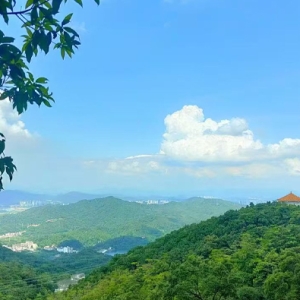 2026开工大吉